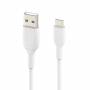 Belkin 2