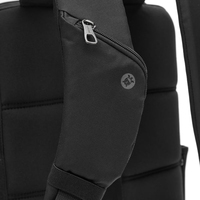 Pacsafe 1
