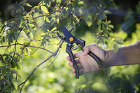 Fiskars 5