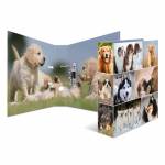 Herma - Ordner A4 Hunde