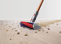 Dyson 20