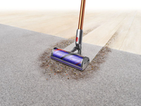 Dyson 21
