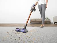 Dyson 23