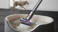 Dyson 8