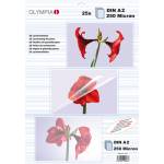 Olympia - Laminierfolien DIN A2, 25 St�ck 250 Mic