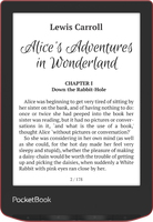 Pocketbook 6