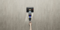 Dyson 2