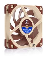 Noctua 1