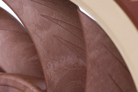 Noctua 6