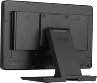 Iiyama 1