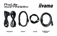 Iiyama 4