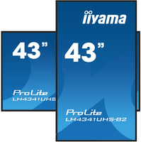 Iiyama 12