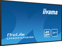 Iiyama 13