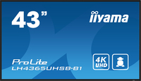 Iiyama 9