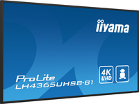 Iiyama 13