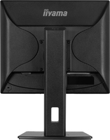 Iiyama 1