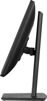 Iiyama 13