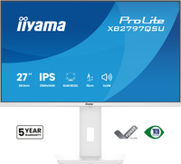 Iiyama 11