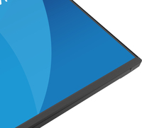 Iiyama 1