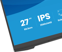 Iiyama 1