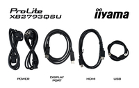 Iiyama 9