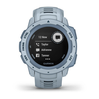 Garmin 19