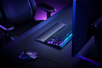 Razer 4