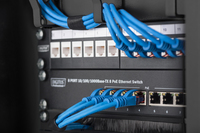 Digitus 1