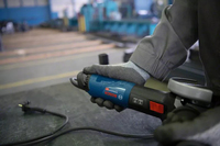 Bosch Powertools 4