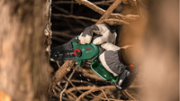 Bosch 18