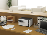 Epson 12