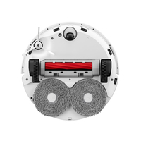 Roborock 6