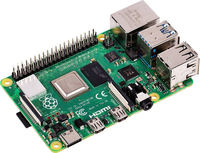 Raspberry 5
