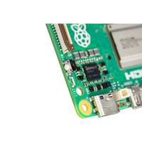 Raspberry 5