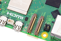 Raspberry 13