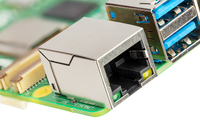 Raspberry 14