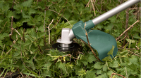 Bosch Powertools 13
