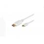 Microconnect - -DisplayPort 电缆-迷你 DisplayPort (M) 到 DisplayPort (M)-2 m-白色