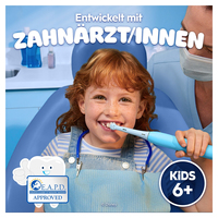 Braun 12